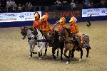 Quadrille - 00018